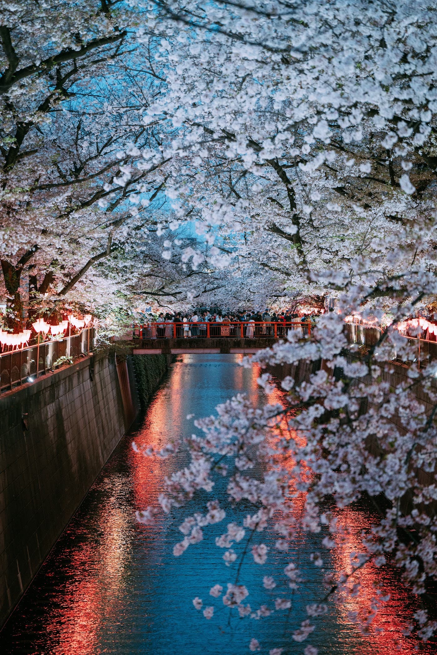 Explore living in Meguro-ku