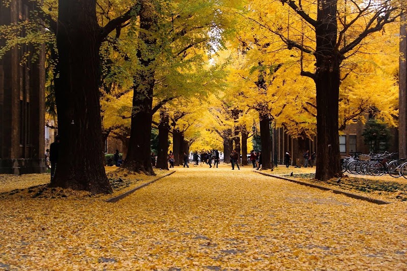 Hongo / Yushima