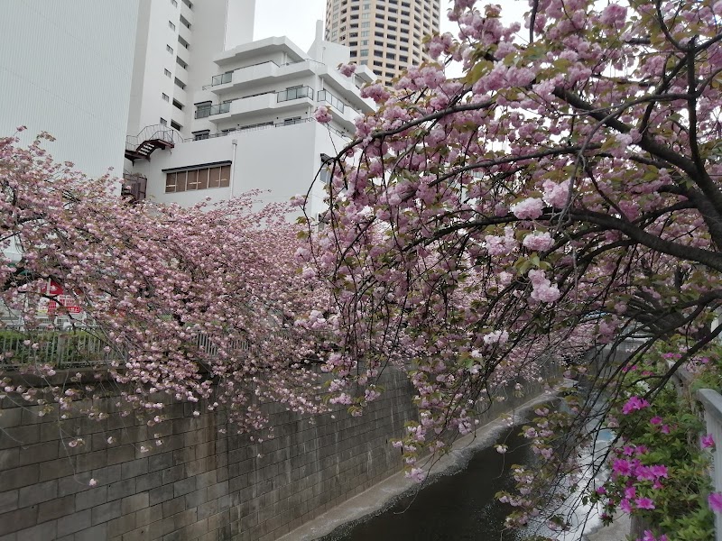 Nakameguro